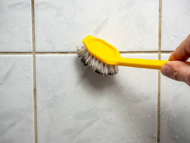 Best Mold Remediation for Schools in Warner, OK