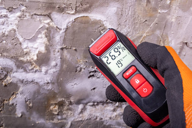 Best Insurance-Related Mold Remediation in Warner, OK