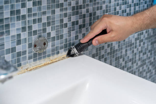 Best Health and Safety Mold Remediation in Warner, OK