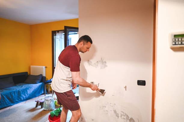 Trusted Warner, OK Mold Remediation Experts